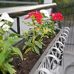 Village Villa, Agios Georgios 别墅